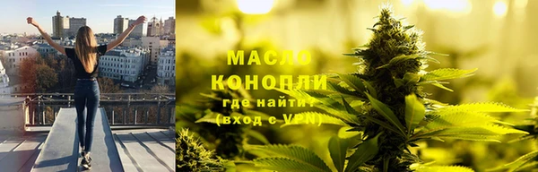 тгк Алексин