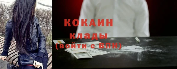 тгк Алексин