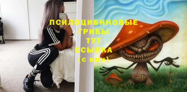 тгк Алексин