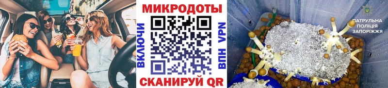 Псилоцибиновые грибы Magic Shrooms  закладки  Чусовой 